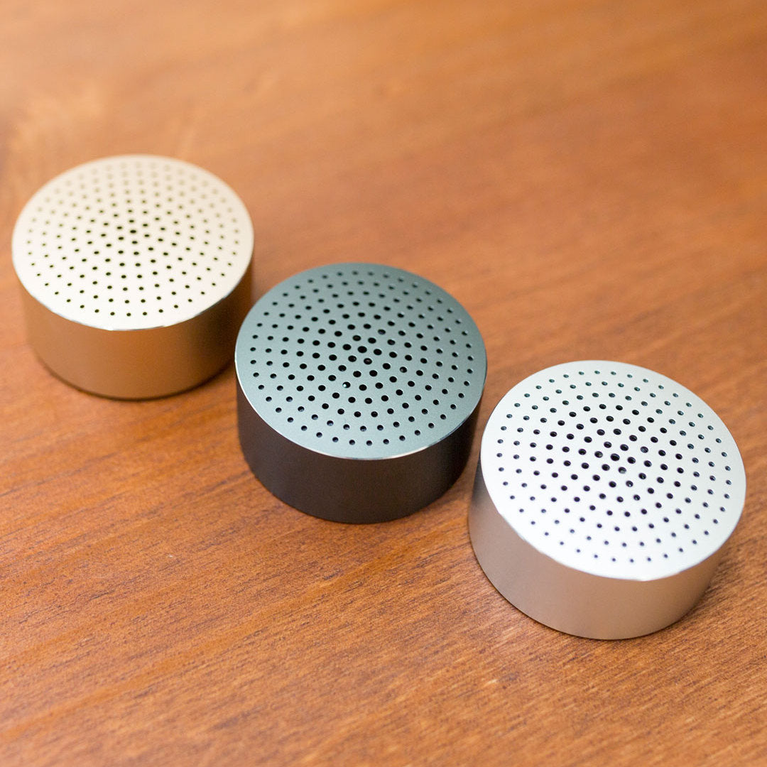 Portable AI Smart Speaker | Outdoor Bluetooth Sports & Phone Connectivity