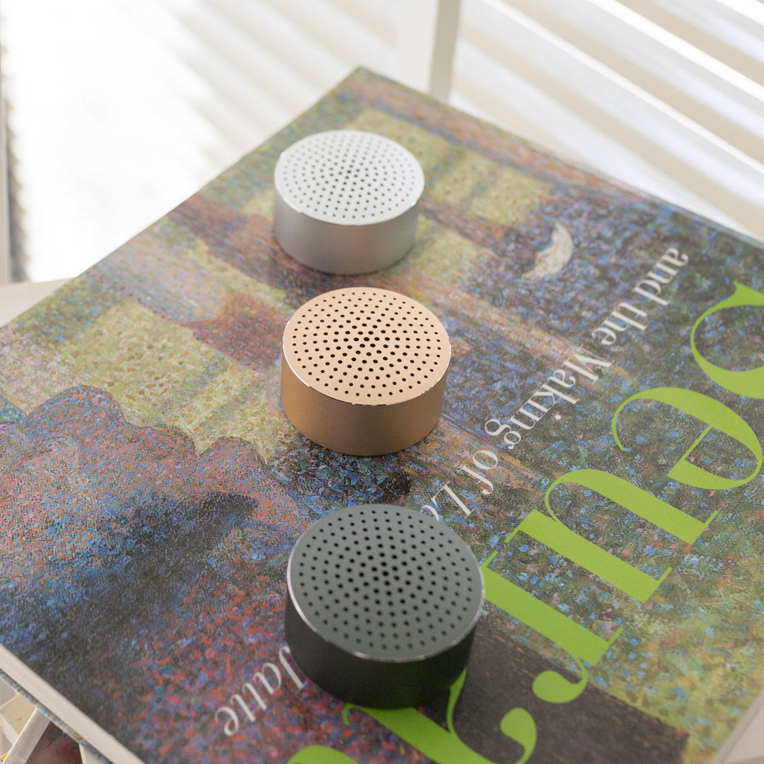 Portable AI Smart Speaker | Outdoor Bluetooth Sports & Phone Connectivity