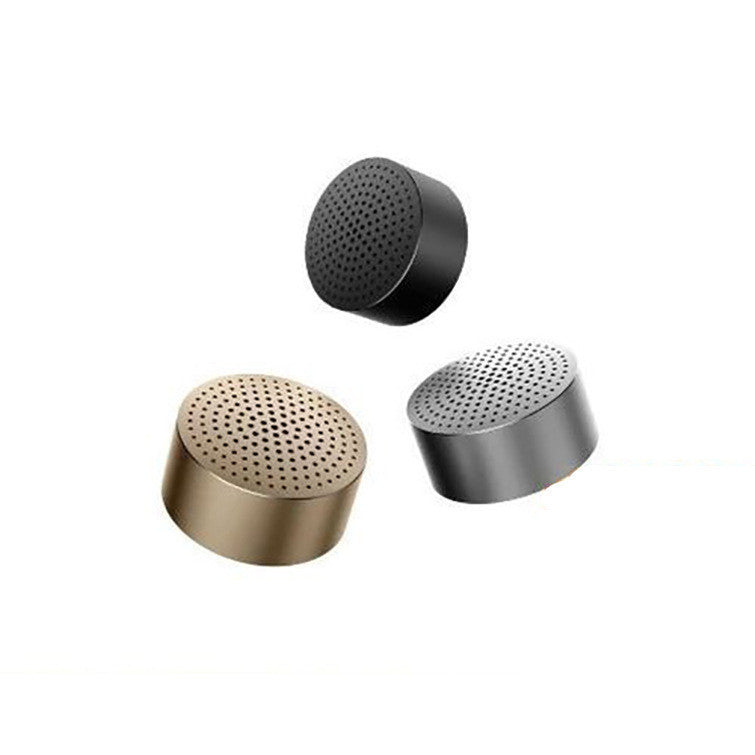 Portable AI Smart Speaker | Outdoor Bluetooth Sports & Phone Connectivity